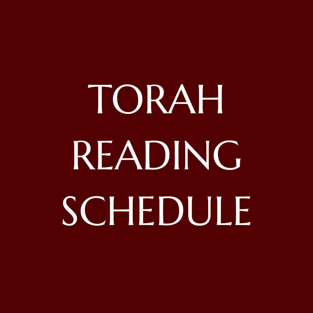 Torah Reading Schedule
